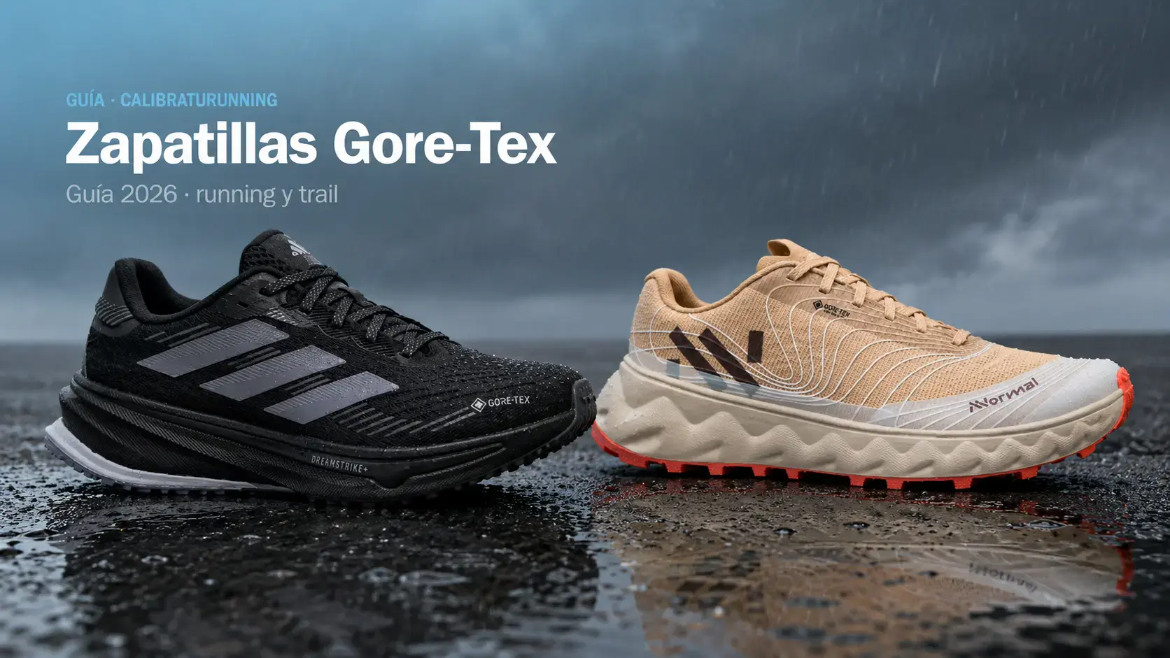 Zapatillas Gore-Tex: ¿merece la pena? Guía 2026 (running y trail)